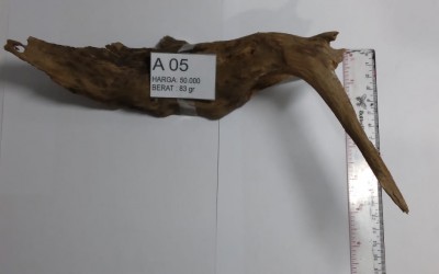 KAYU A 50.000 UNTUK PEMELIHARAAN TARANTULA, REPTIL, SERANGGA, DLL